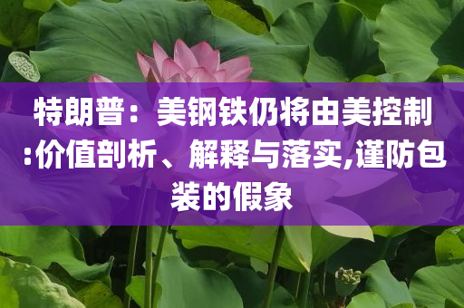 特朗普：美鋼鐵仍將由美控制:價值剖析、解釋與落實,謹防包裝的假象