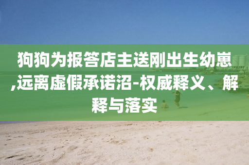 狗狗為報(bào)答店主送剛出生幼崽,遠(yuǎn)離虛假承諾沼-權(quán)威釋義、解釋與落實(shí)
