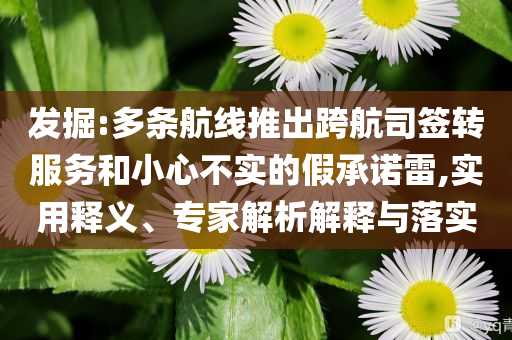 發(fā)掘:多條航線推出跨航司簽轉(zhuǎn)服務(wù)和小心不實(shí)的假承諾雷,實(shí)用釋義、專家解析解釋與落實(shí)