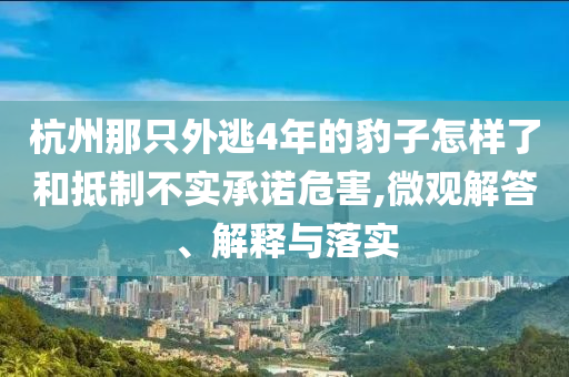 杭州那只外逃4年的豹子怎樣了和抵制不實(shí)承諾危害,微觀解答、解釋與落實(shí)