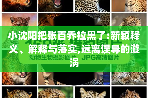 小沈陽把張百喬拉黑了:新穎釋義、解釋與落實,遠離誤導的漩渦