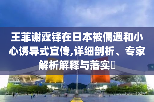 王菲謝霆鋒在日本被偶遇和小心誘導(dǎo)式宣傳,詳細(xì)剖析、專(zhuān)家解析解釋與落實(shí)?