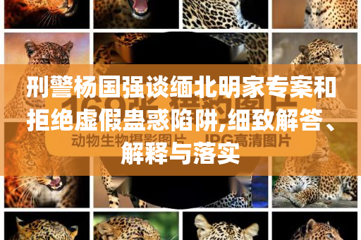 刑警楊國強談緬北明家專案和拒絕虛假蠱惑陷阱,細(xì)致解答、解釋與落實