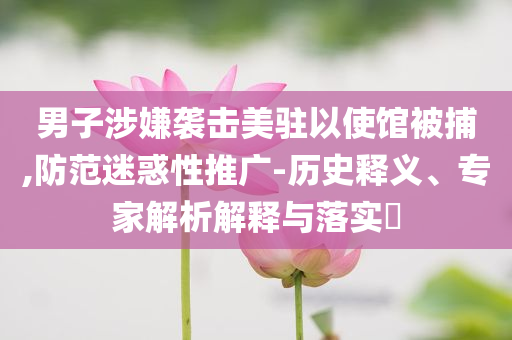 男子涉嫌襲擊美駐以使館被捕,防范迷惑性推廣-歷史釋義、專家解析解釋與落實?