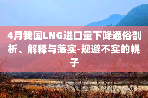 4月我國LNG進口量下降通俗剖析、解釋與落實-規(guī)避不實的幌子