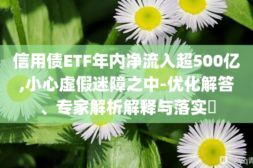 信用債ETF年內(nèi)凈流入超500億,小心虛假迷障之中-優(yōu)化解答、專家解析解釋與落實(shí)?