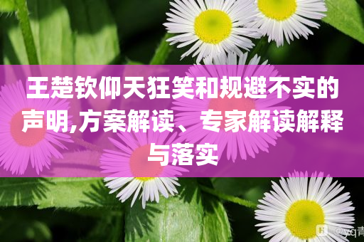 王楚欽仰天狂笑和規(guī)避不實(shí)的聲明,方案解讀、專家解讀解釋與落實(shí)