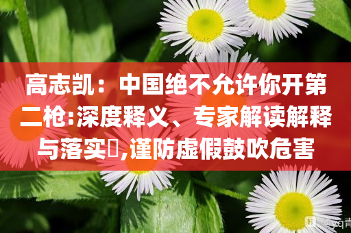 高志凱：中國(guó)絕不允許你開(kāi)第二槍:深度釋義、專(zhuān)家解讀解釋與落實(shí)?,謹(jǐn)防虛假鼓吹危害