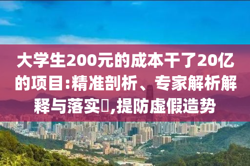 大學生200元的成本干了20億的項目:精準剖析、專家解析解釋與落實?,提防虛假造勢