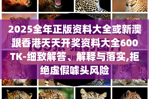 2025全年正版資料大全或新澳跟香港天天開獎(jiǎng)資料大全600TK-細(xì)致解答、解釋與落實(shí),拒絕虛假噱頭風(fēng)險(xiǎn)