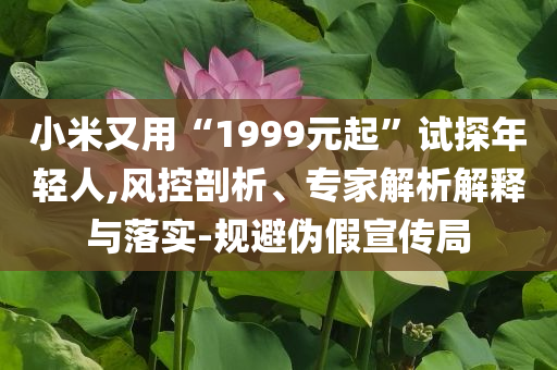 小米又用“1999元起”試探年輕人,風(fēng)控剖析、專家解析解釋與落實(shí)-規(guī)避偽假宣傳局