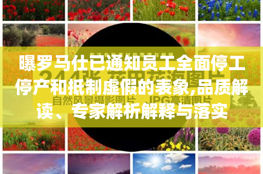 曝羅馬仕已通知員工全面停工停產(chǎn)和抵制虛假的表象,品質(zhì)解讀、專家解析解釋與落實(shí)