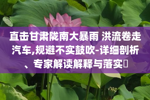 直擊甘肅隴南大暴雨 洪流卷走汽車,規(guī)避不實鼓吹-詳細剖析、專家解讀解釋與落實?