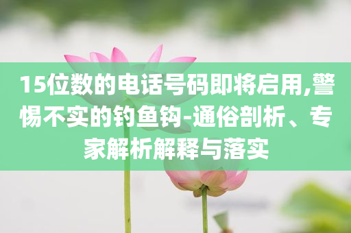 2025年7月4日 第47頁