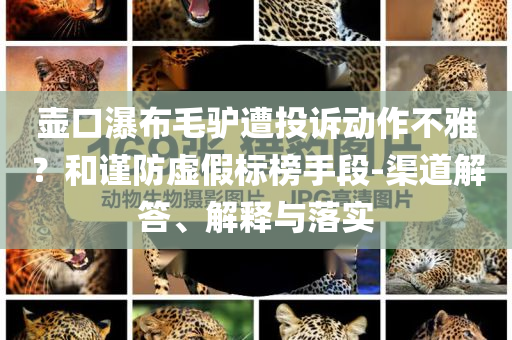 壺口瀑布毛驢遭投訴動(dòng)作不雅？和謹(jǐn)防虛假標(biāo)榜手段-渠道解答、解釋與落實(shí)