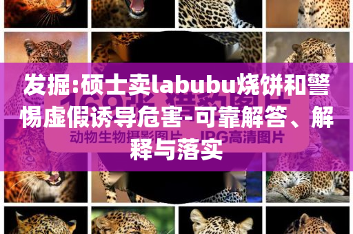 發(fā)掘:碩士賣labubu燒餅和警惕虛假誘導(dǎo)危害-可靠解答、解釋與落實
