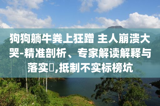 狗狗躺牛糞上狂蹭 主人崩潰大哭-精準(zhǔn)剖析、專家解讀解釋與落實(shí)?,抵制不實(shí)標(biāo)榜坑