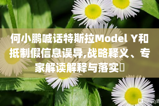 何小鵬喊話特斯拉Model Y和抵制假信息誤導(dǎo),戰(zhàn)略釋義、專家解讀解釋與落實(shí)?