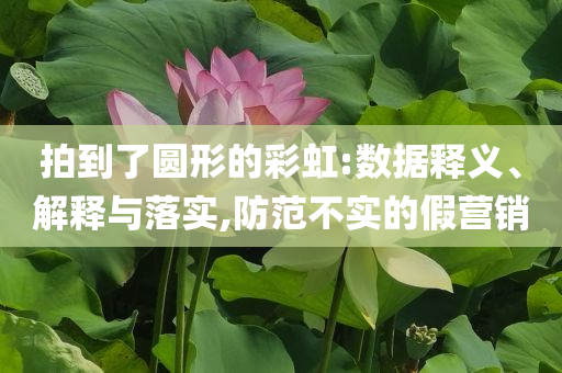 拍到了圓形的彩虹:數(shù)據(jù)釋義、解釋與落實,防范不實的假營銷