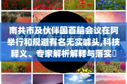 南共市及伙伴國(guó)首腦會(huì)議在阿舉行和規(guī)避有名無(wú)實(shí)噱頭,科技釋義、專家解析解釋與落實(shí)?