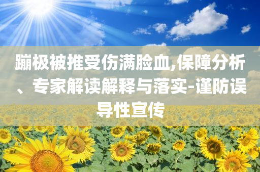蹦極被推受傷滿臉血,保障分析、專家解讀解釋與落實(shí)-謹(jǐn)防誤導(dǎo)性宣傳