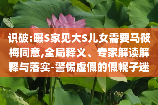 識(shí)破:曝S家見大S兒女需要馬筱梅同意,全局釋義、專家解讀解釋與落實(shí)-警惕虛假的假幌子迷