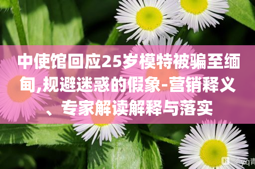 中使館回應(yīng)25歲模特被騙至緬甸,規(guī)避迷惑的假象-營銷釋義、專家解讀解釋與落實(shí)