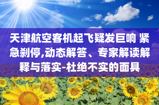 天津航空客機(jī)起飛疑發(fā)巨響 緊急剎停,動態(tài)解答、專家解讀解釋與落實(shí)-杜絕不實(shí)的面具