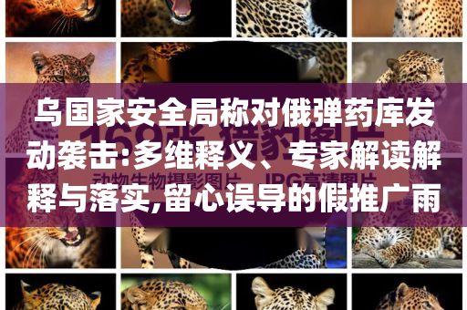 烏國家安全局稱對俄彈藥庫發(fā)動襲擊:多維釋義、專家解讀解釋與落實,留心誤導的假推廣雨