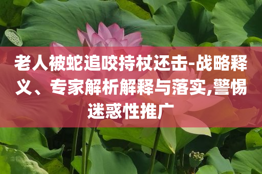 老人被蛇追咬持杖還擊-戰(zhàn)略釋義、專家解析解釋與落實(shí),警惕迷惑性推廣