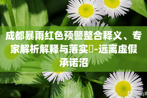 成都暴雨紅色預(yù)警整合釋義、專家解析解釋與落實?-遠(yuǎn)離虛假承諾沼