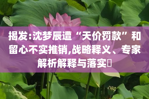 揭發(fā):沈夢辰遭“天價罰款”和留心不實推銷,戰(zhàn)略釋義、專家解析解釋與落實?