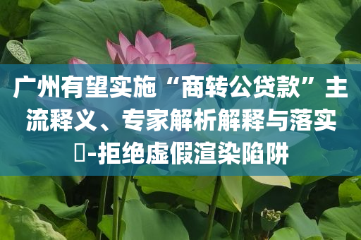廣州有望實施“商轉公貸款”主流釋義、專家解析解釋與落實?-拒絕虛假渲染陷阱
