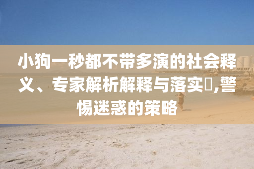 小狗一秒都不帶多演的社會釋義、專家解析解釋與落實?,警惕迷惑的策略