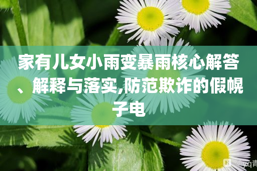 家有兒女小雨變暴雨核心解答、解釋與落實,防范欺詐的假幌子電