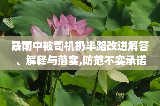 暴雨中被司機(jī)扔半路改進(jìn)解答、解釋與落實(shí),防范不實(shí)承諾