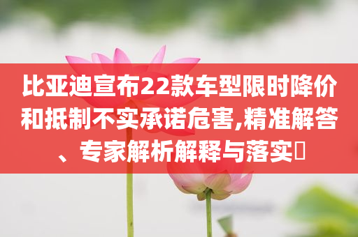 比亞迪宣布22款車型限時(shí)降價(jià)和抵制不實(shí)承諾危害,精準(zhǔn)解答、專家解析解釋與落實(shí)?
