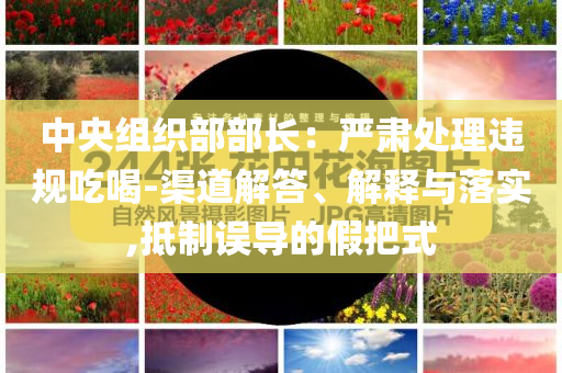 中央組織部部長：嚴肅處理違規(guī)吃喝-渠道解答、解釋與落實,抵制誤導的假把式