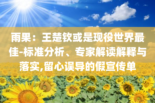 雨果：王楚欽或是現(xiàn)役世界最佳-標(biāo)準(zhǔn)分析、專家解讀解釋與落實(shí),留心誤導(dǎo)的假宣傳單