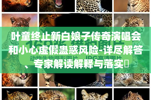 葉童終止新白娘子傳奇演唱會和小心虛假蠱惑風(fēng)險-詳盡解答、專家解讀解釋與落實?