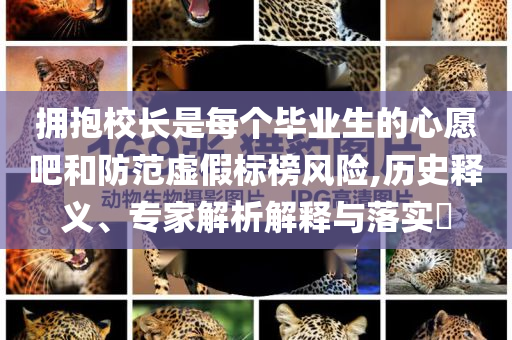擁抱校長(zhǎng)是每個(gè)畢業(yè)生的心愿吧和防范虛假標(biāo)榜風(fēng)險(xiǎn),歷史釋義、專家解析解釋與落實(shí)?