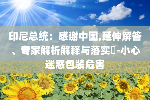 印尼總統(tǒng)：感謝中國(guó),延伸解答、專家解析解釋與落實(shí)?-小心迷惑包裝危害