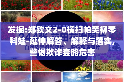 發(fā)掘:鄭欽文2-0橫掃帕芙柳琴科娃-延伸解答、解釋與落實,警惕欺詐套路危害