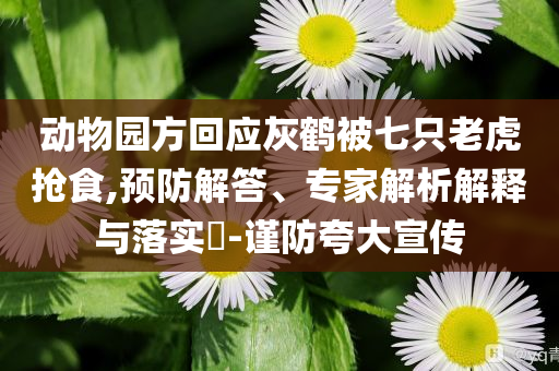 動(dòng)物園方回應(yīng)灰鶴被七只老虎搶食,預(yù)防解答、專家解析解釋與落實(shí)?-謹(jǐn)防夸大宣傳
