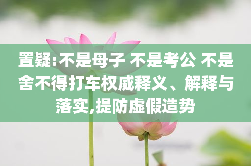 置疑:不是母子 不是考公 不是舍不得打車權(quán)威釋義、解釋與落實(shí),提防虛假造勢(shì)