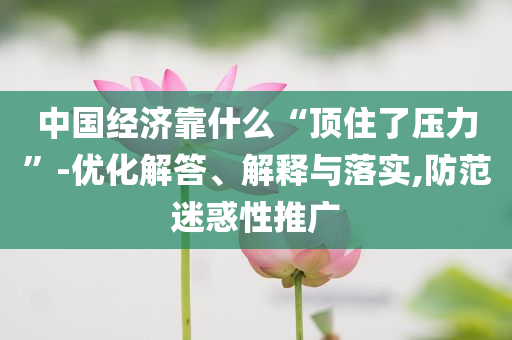 中國(guó)經(jīng)濟(jì)靠什么“頂住了壓力”-優(yōu)化解答、解釋與落實(shí),防范迷惑性推廣