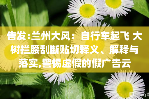告發(fā):蘭州大風(fēng)：自行車起飛 大樹(shù)攔腰刮斷貼切釋義、解釋與落實(shí),警惕虛假的假?gòu)V告云