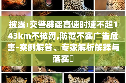 披露:交警辟謠高速時(shí)速不超143km不被罰,防范不實(shí)廣告危害-案例解答、專家解析解釋與落實(shí)?