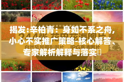 揭發(fā):辛柏青：身如不系之舟,小心不實(shí)推廣策略-核心解答、專家解析解釋與落實(shí)?