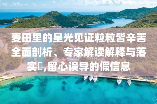 麥田里的星光見證粒粒皆辛苦全面剖析、專家解讀解釋與落實?,留心誤導(dǎo)的假信息